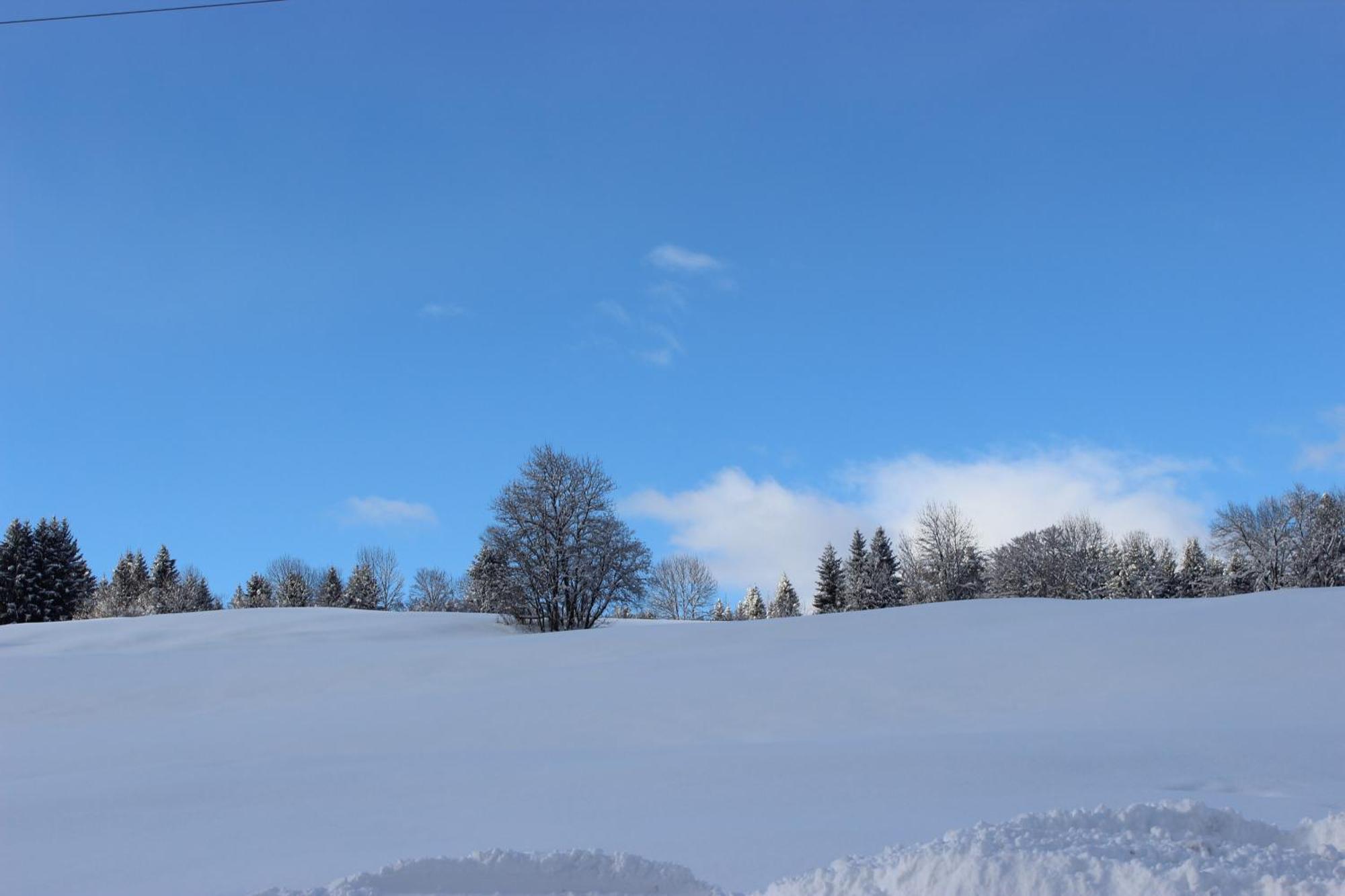 Le Chalet D'Ulysse Arâches Buitenkant foto