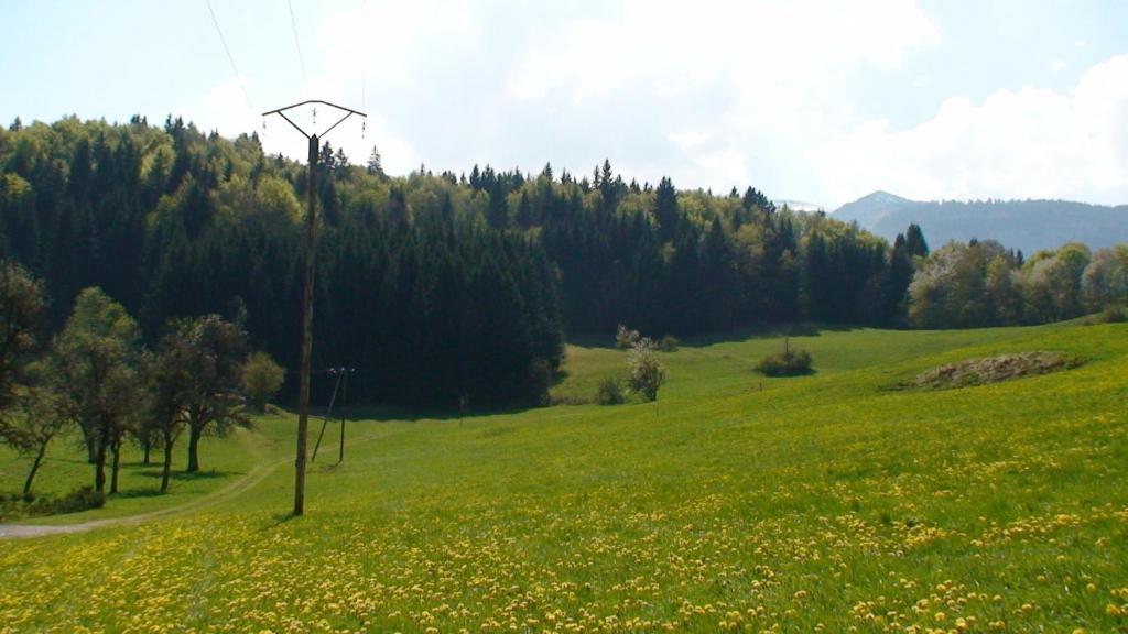Le Chalet D'Ulysse Arâches Buitenkant foto