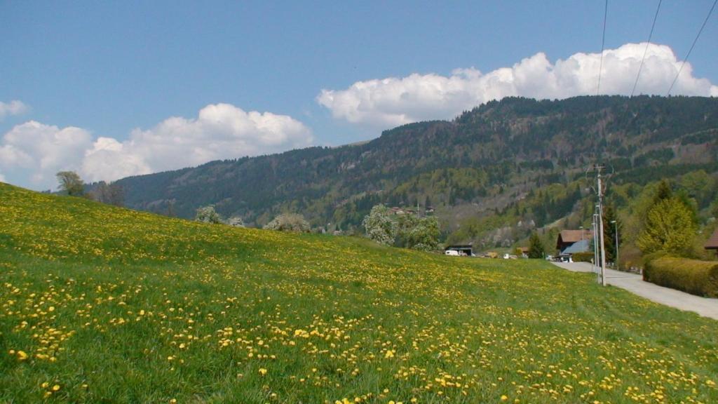 Le Chalet D'Ulysse Arâches Buitenkant foto